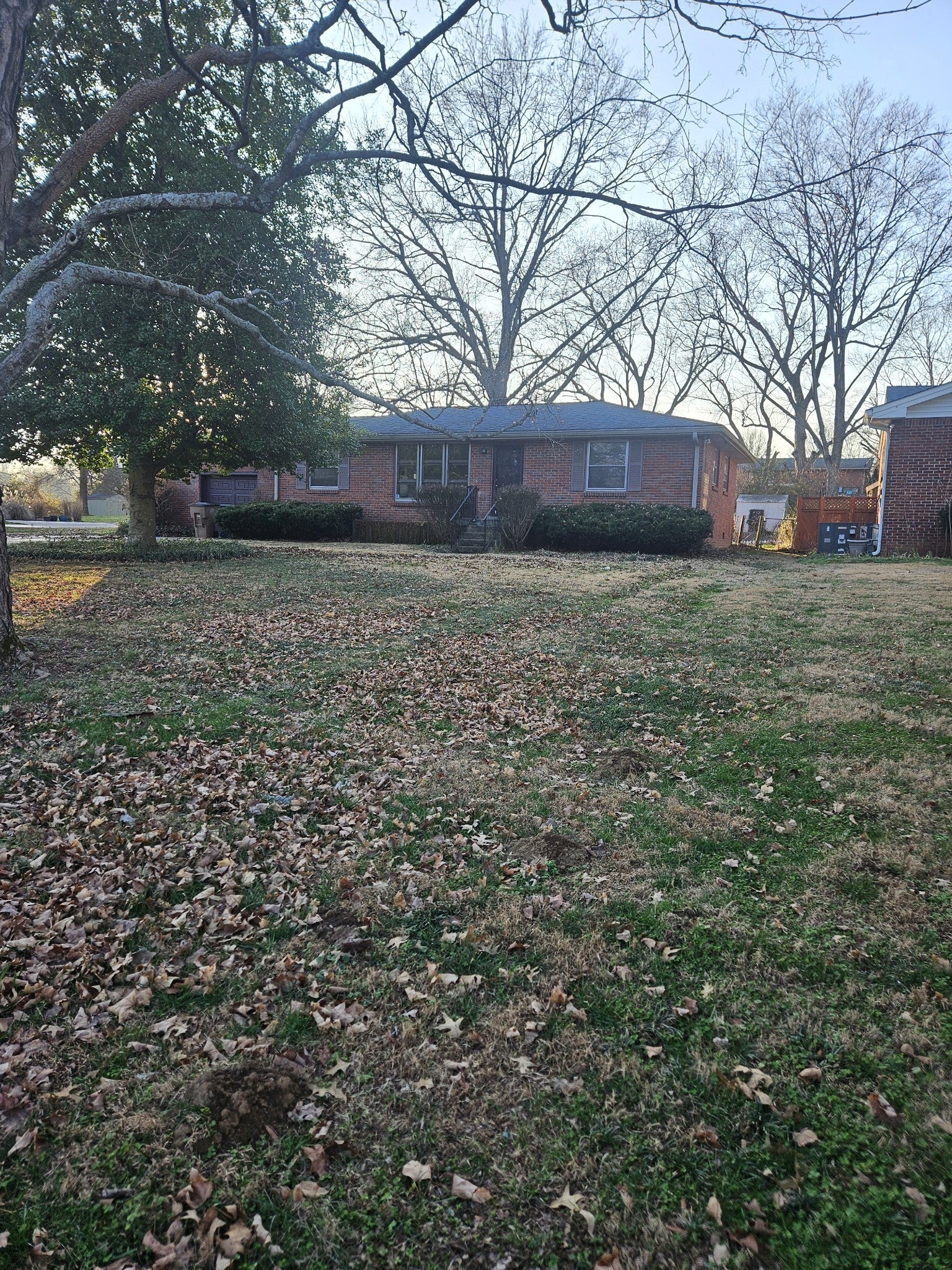 Photo of Listing #3073254