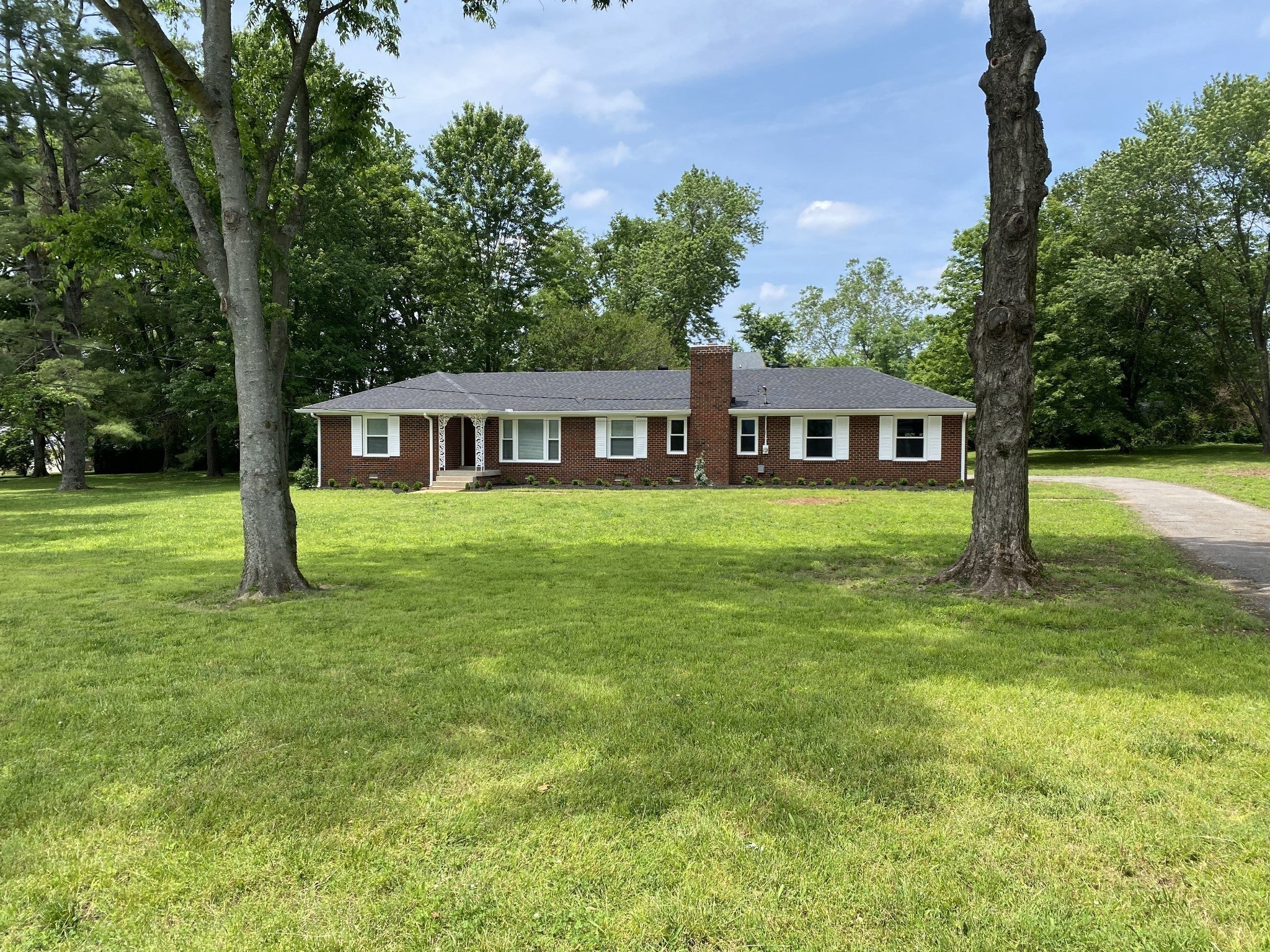 Photo of Listing #3112532