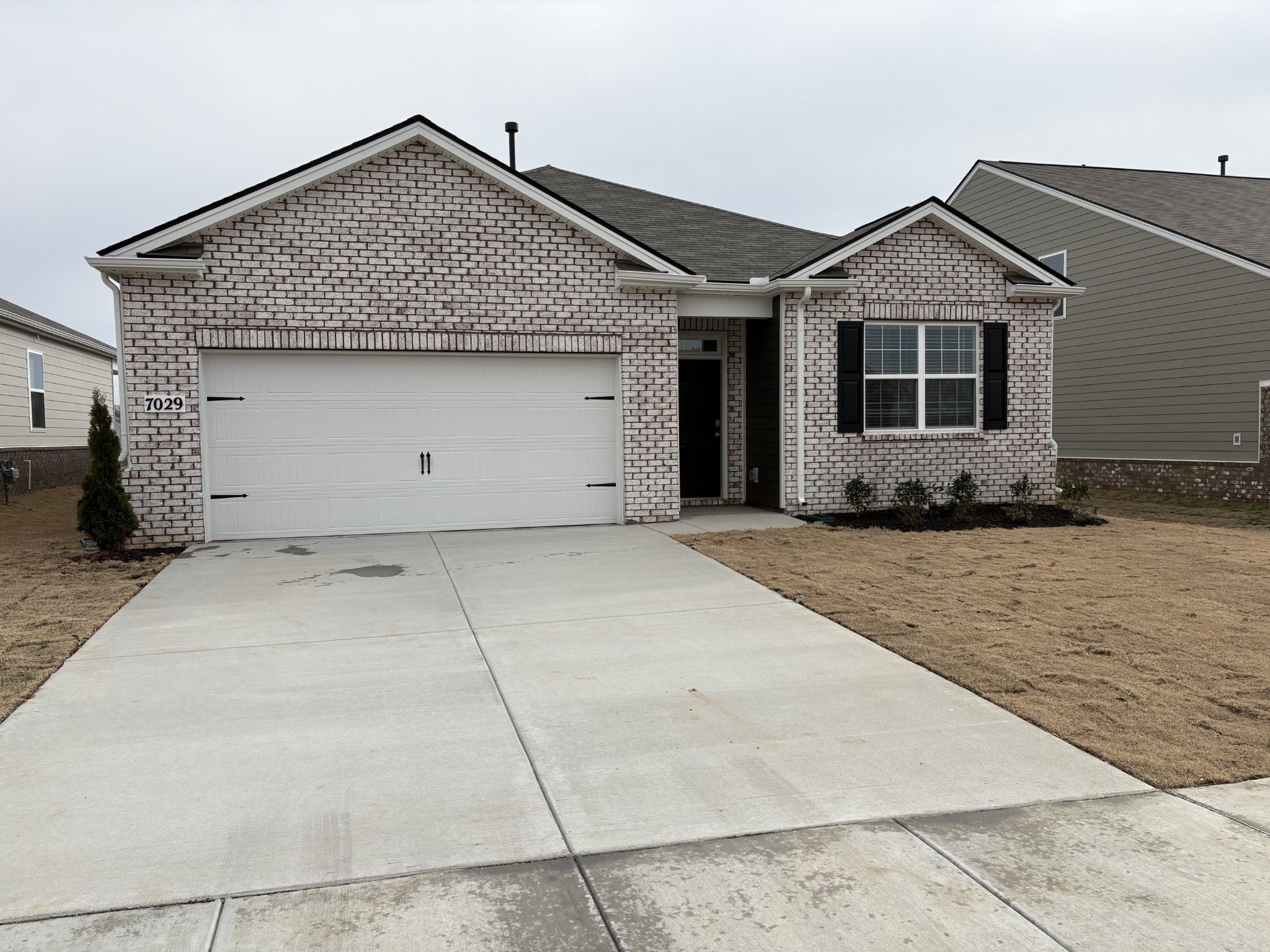 Photo of Listing #3116252