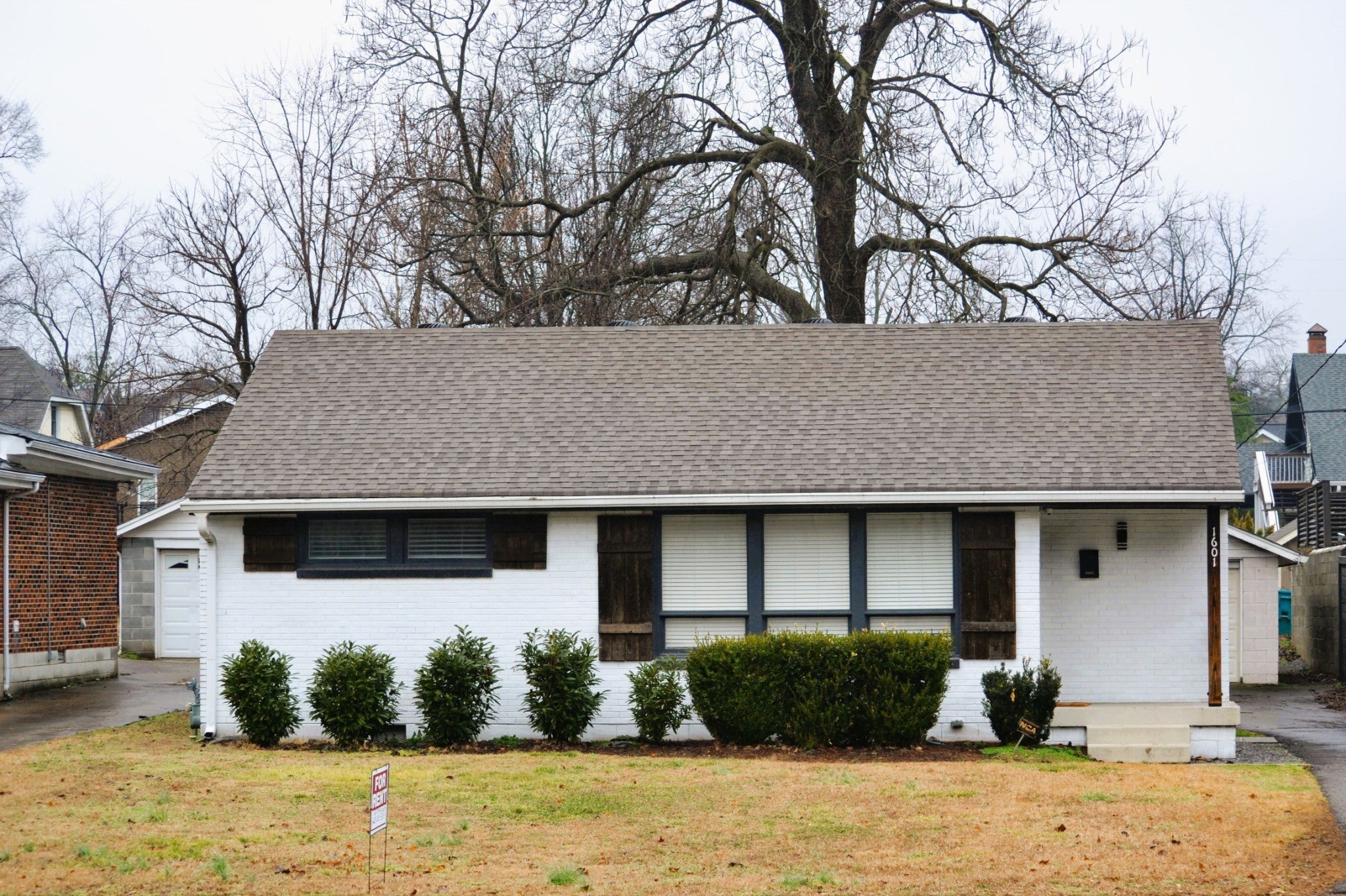 Photo of Listing #3128584