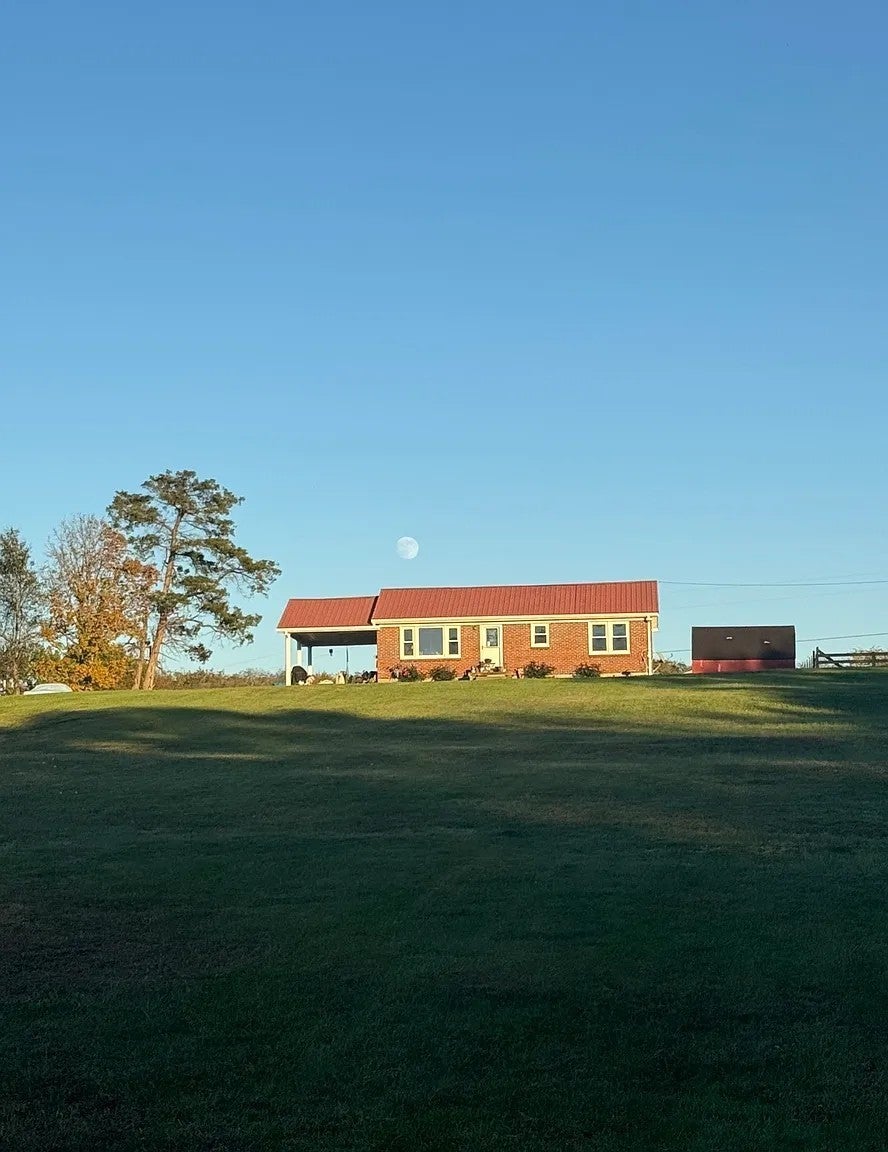 Photo of Listing #3135182