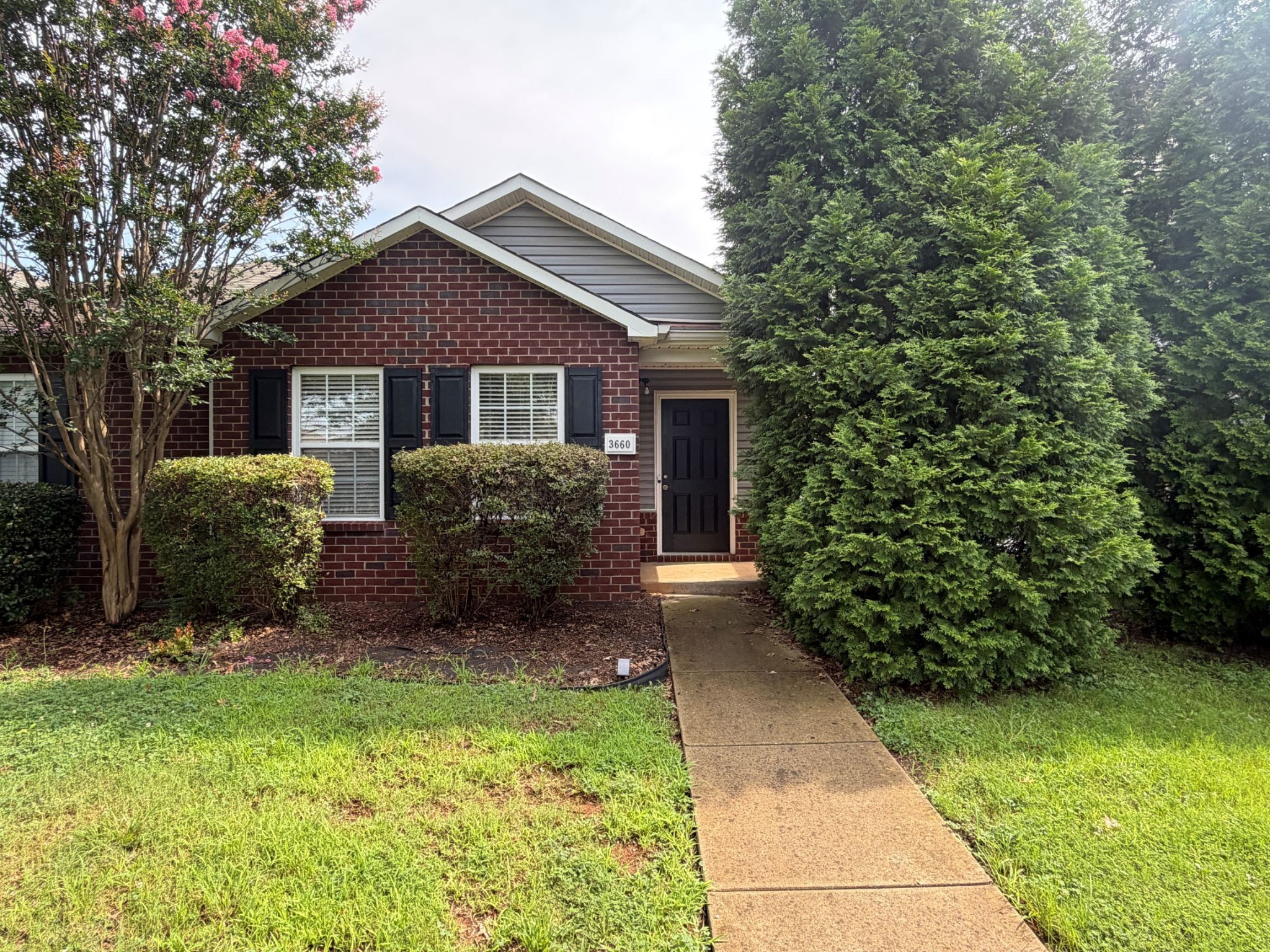 Photo of Listing #3411533