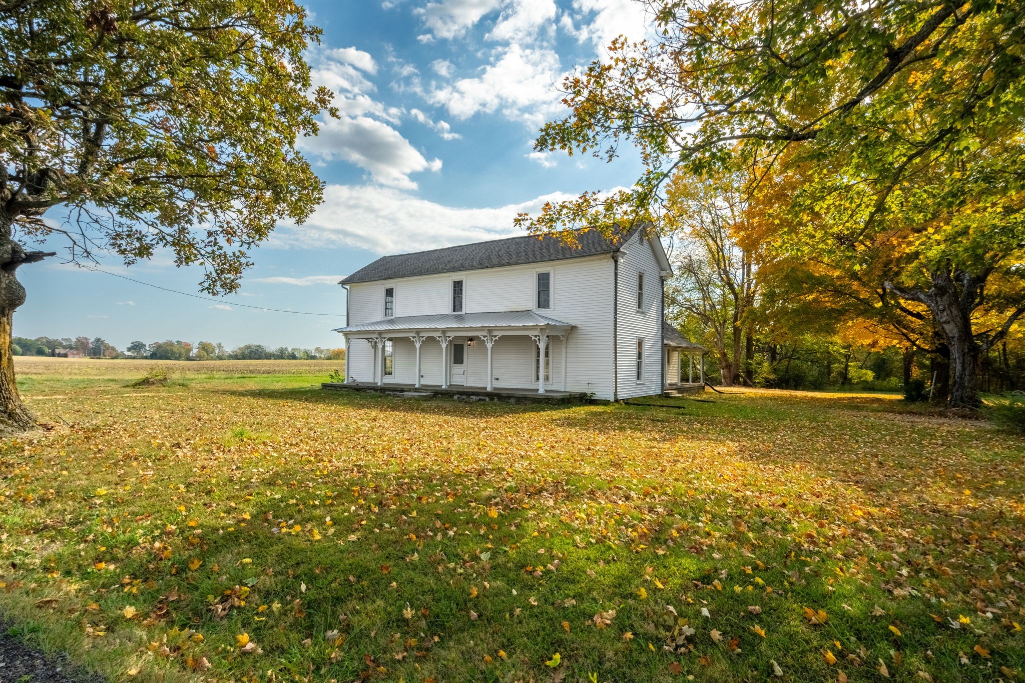 Photo of Listing #3516431