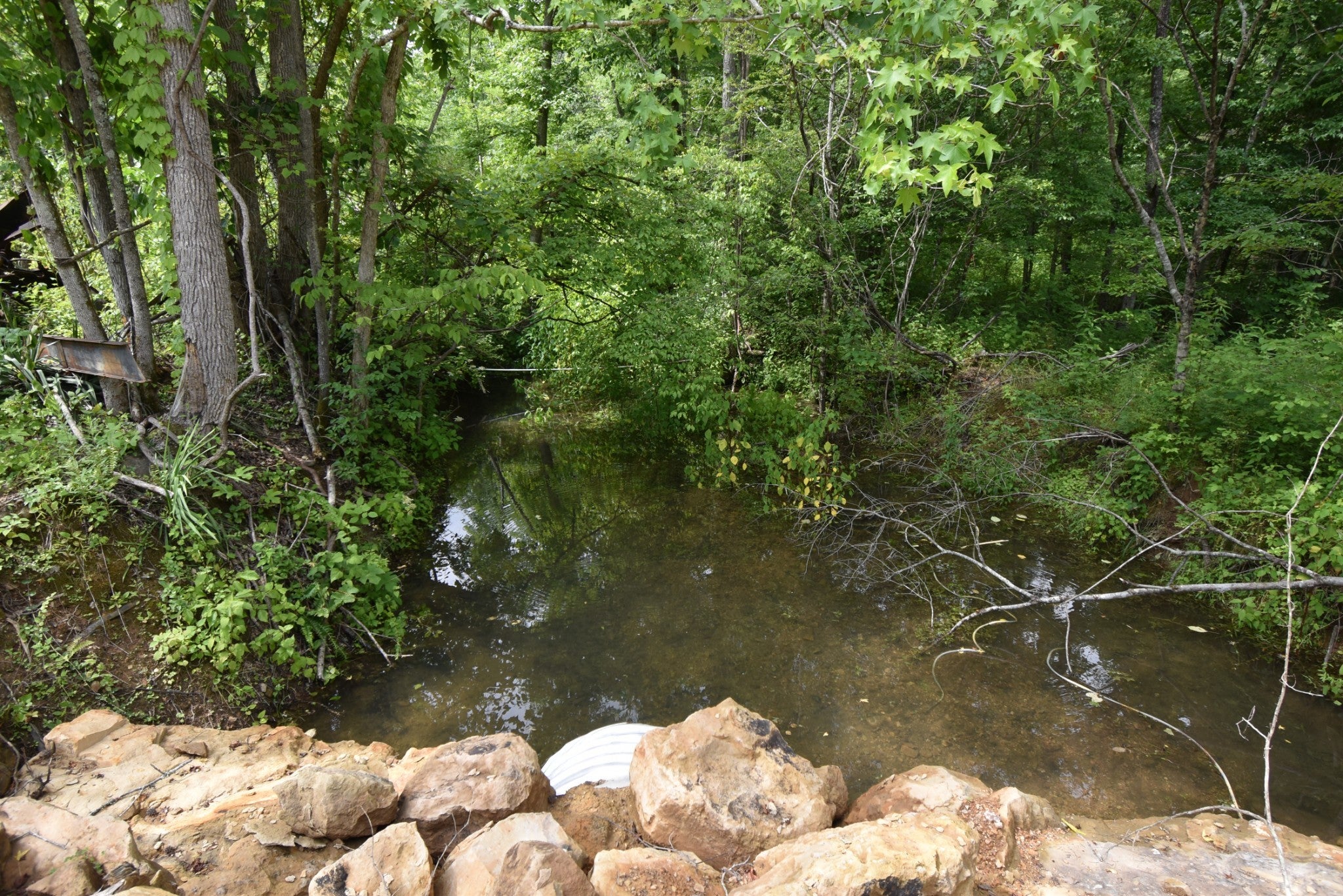 Linden Real Estate - Land for sale