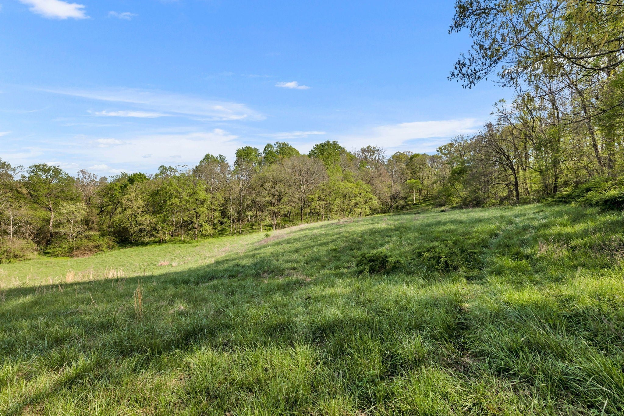 Franklin Real Estate - Land for sale