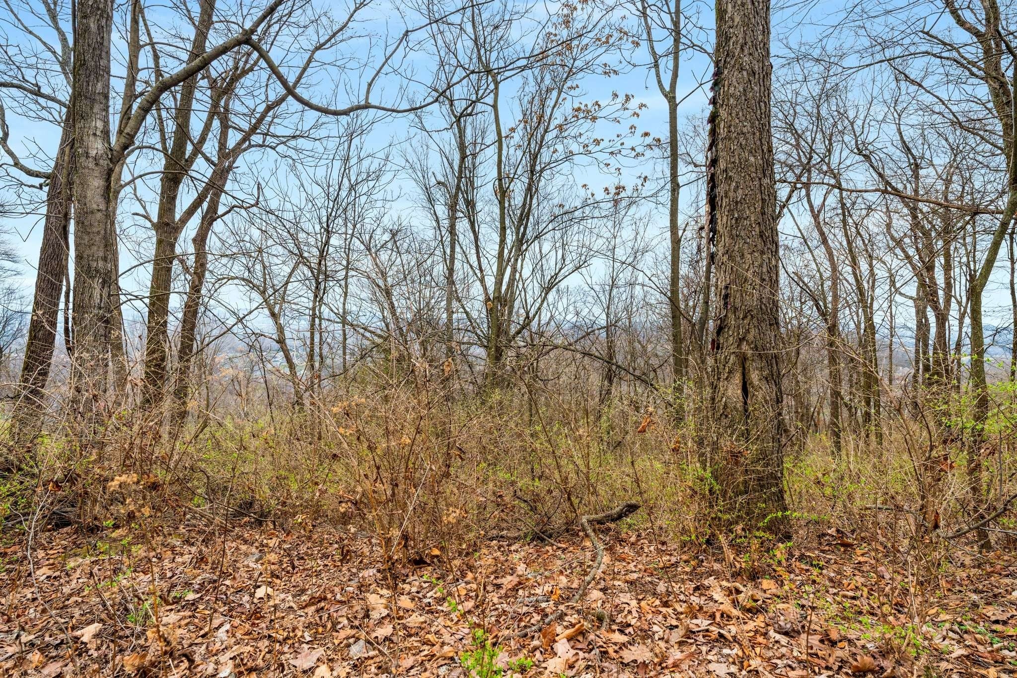 Home for sale in 1007 Lookout Ridge Ct Brentwood, TN