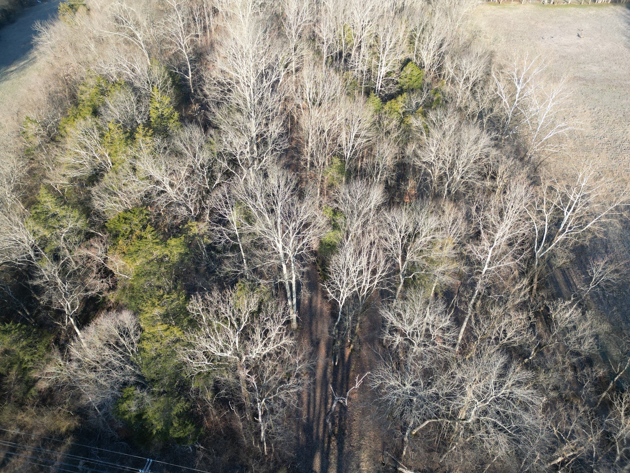 Home for sale in 0 Lobelville Highway Linden, TN