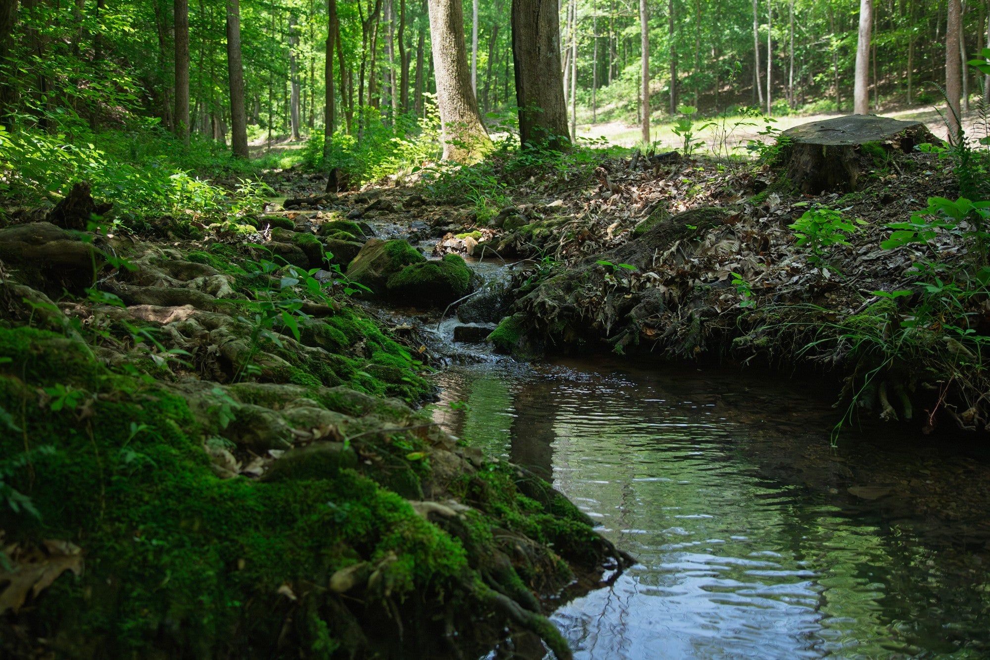 Home for sale in 0 Pinewood Road Franklin, TN