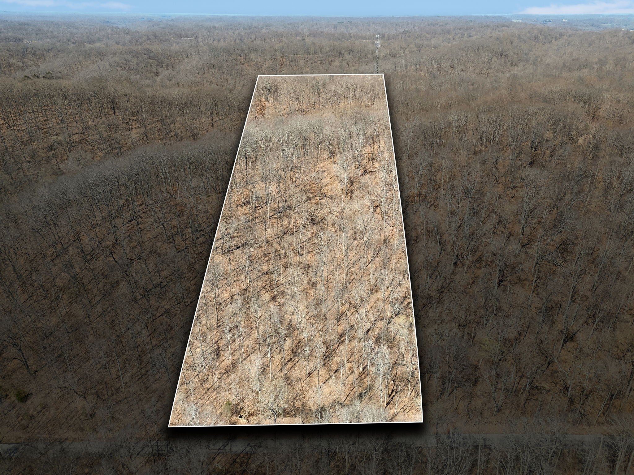 Home for sale in 1091 Natchez Valley Ln Franklin, TN