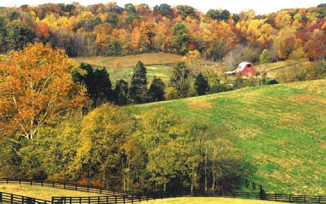 Residential Real Estate for sale in Franklin, TN