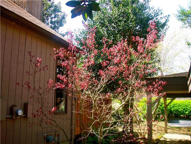 Nashville Real Estate - Residential for sale
