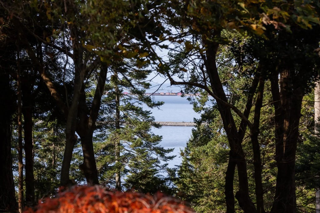 535 English Bluff Road, Delta