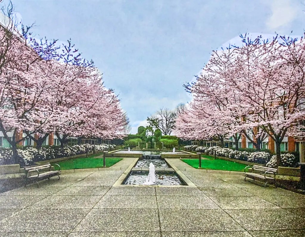 618 W 45th Avenue 412, Vancouver