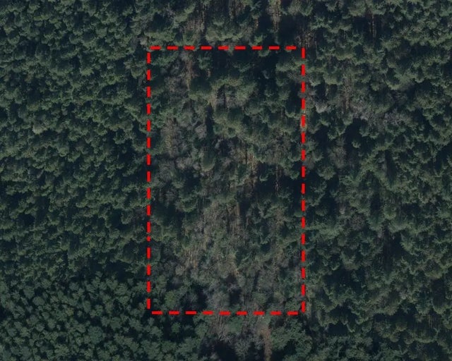 23900 138 Avenue, Maple Ridge