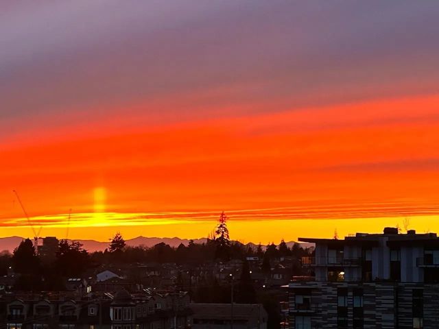7428 Alberta Street 609, Vancouver