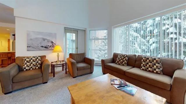 4910 Wk 30 Spearhead Place 419, Whistler