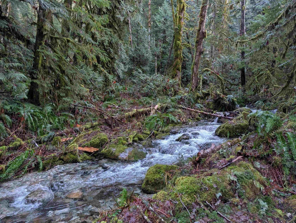 2045 N Rustad Road, Squamish