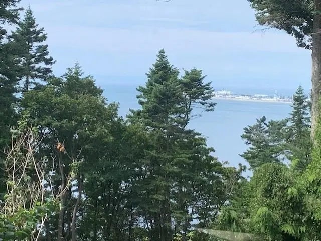 561 English Bluff Road, Delta