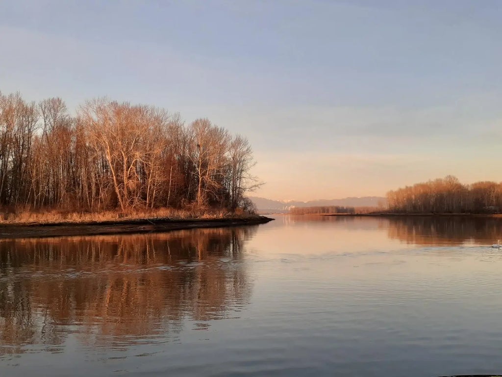 4485 W River Road 2, Delta