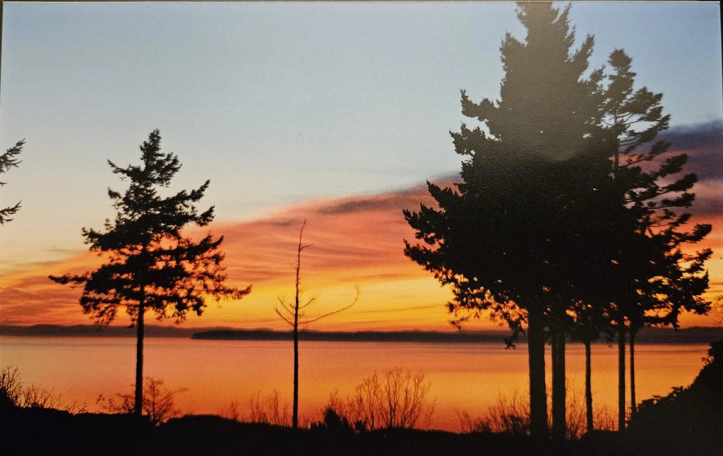 12581 16 Avenue, Surrey