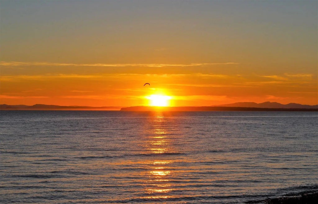 12585 15 Avenue Lt.4, Surrey