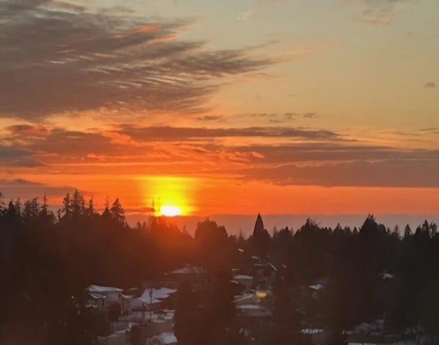 10777 University Drive 1206, Surrey