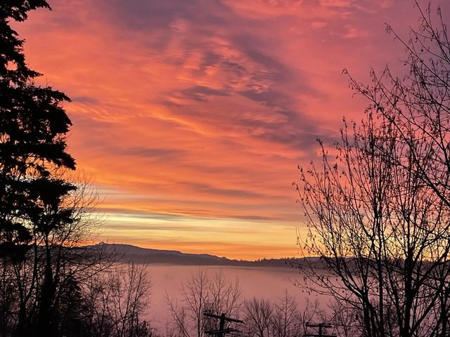 9352 Spilsbury Street, Maple Ridge