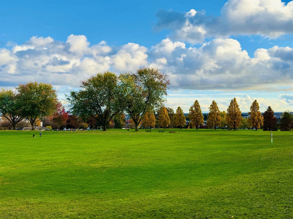 375 W 59th Avenue 204, Vancouver