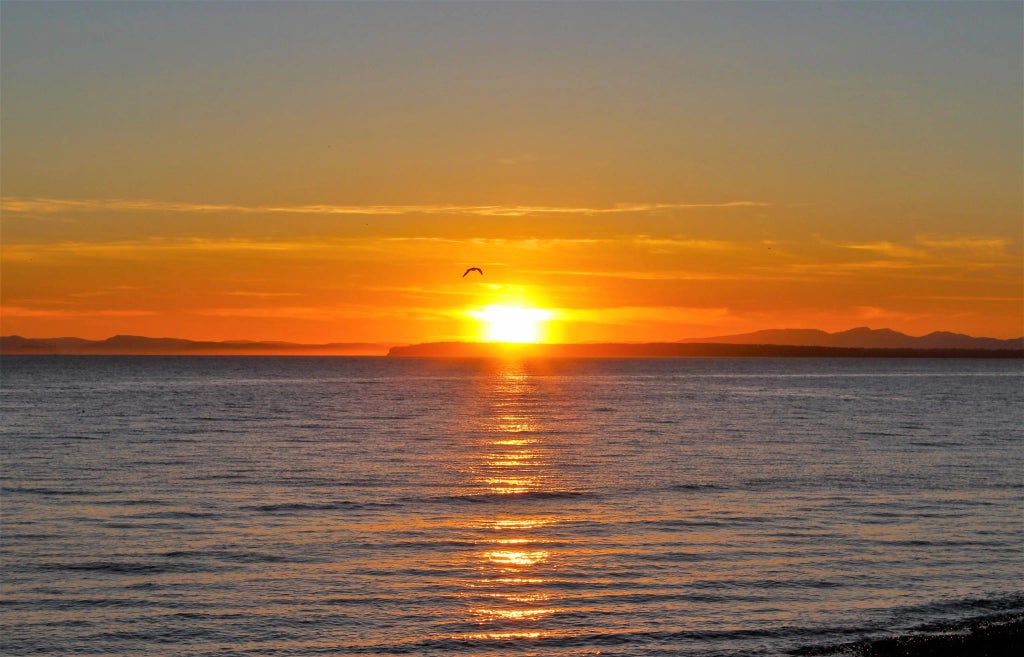 12631 15 Avenue, Surrey