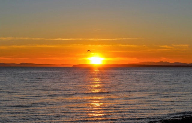 12631 15 Avenue, Surrey