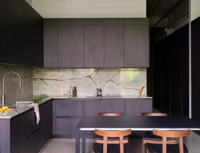 546 Beatty Street 205, Vancouver
