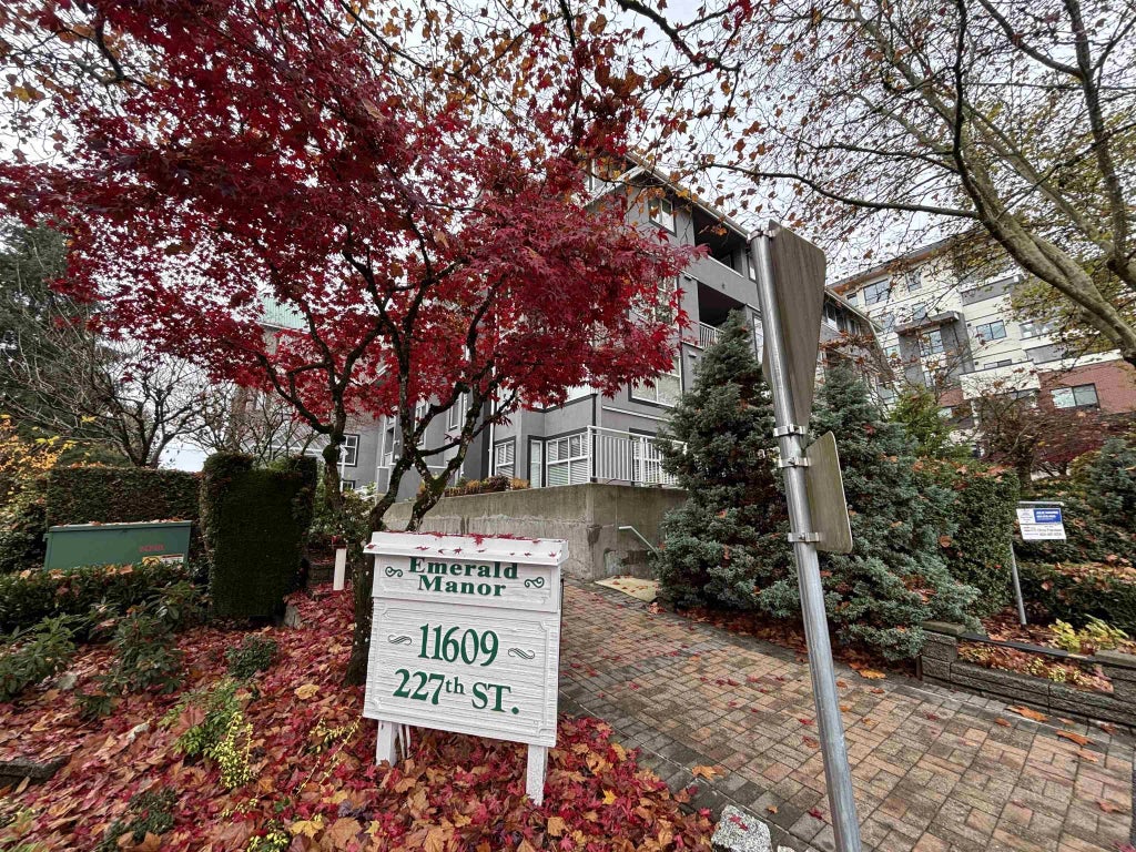11609 227 Street 208, Maple Ridge