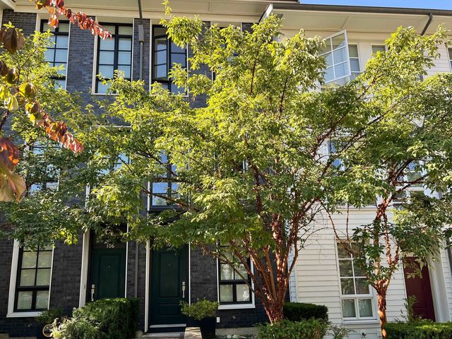 548 Foster Avenue 105, Coquitlam