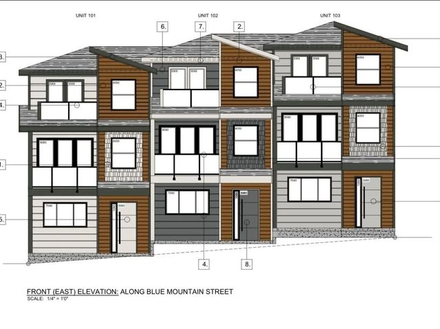 266 Blue Mountain Street, Coquitlam