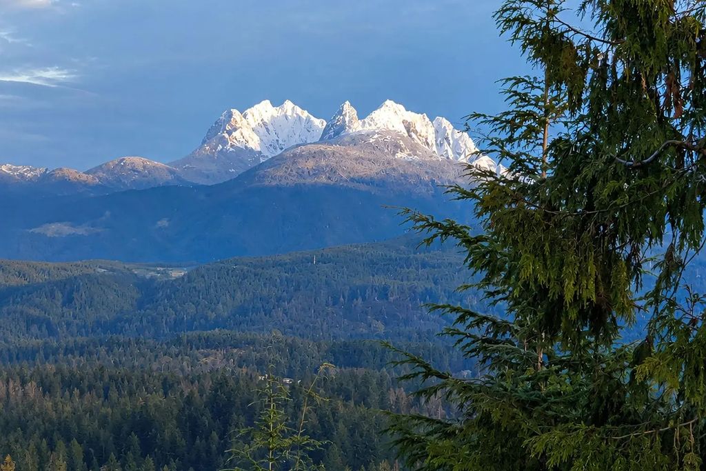 10240 Rolley Crescent, Maple Ridge