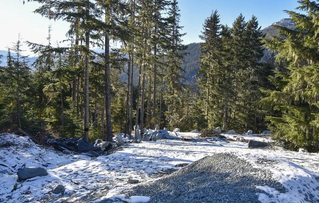 9325 Warbler Way, Whistler