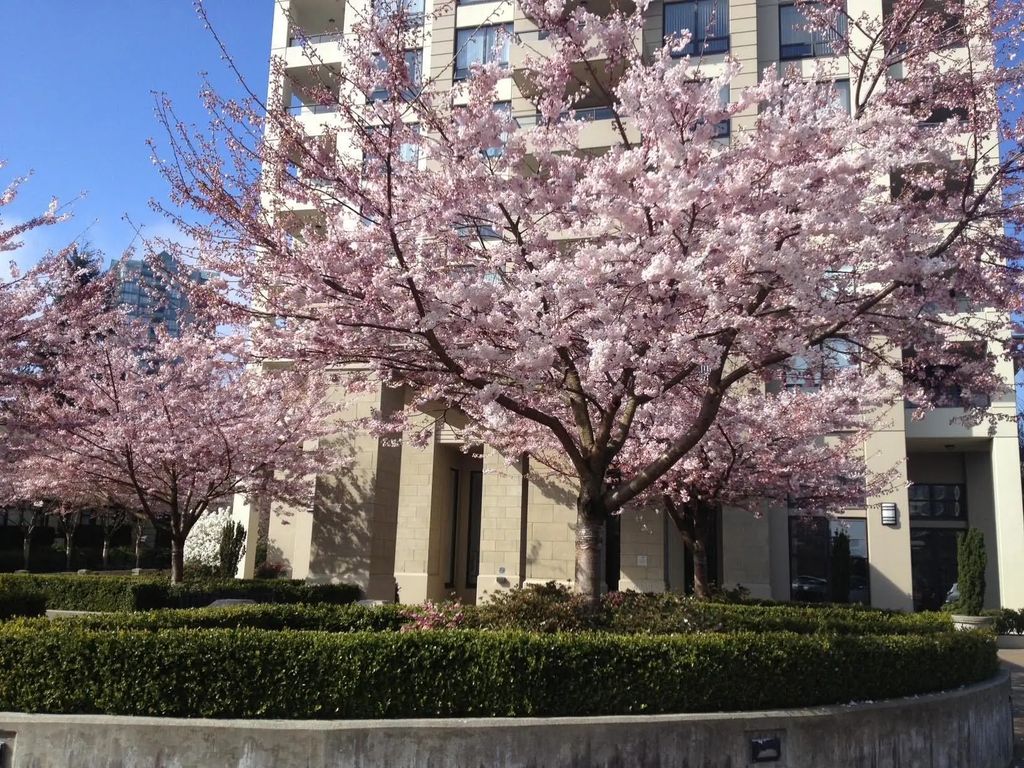 4333 Central Boulevard 307, Burnaby