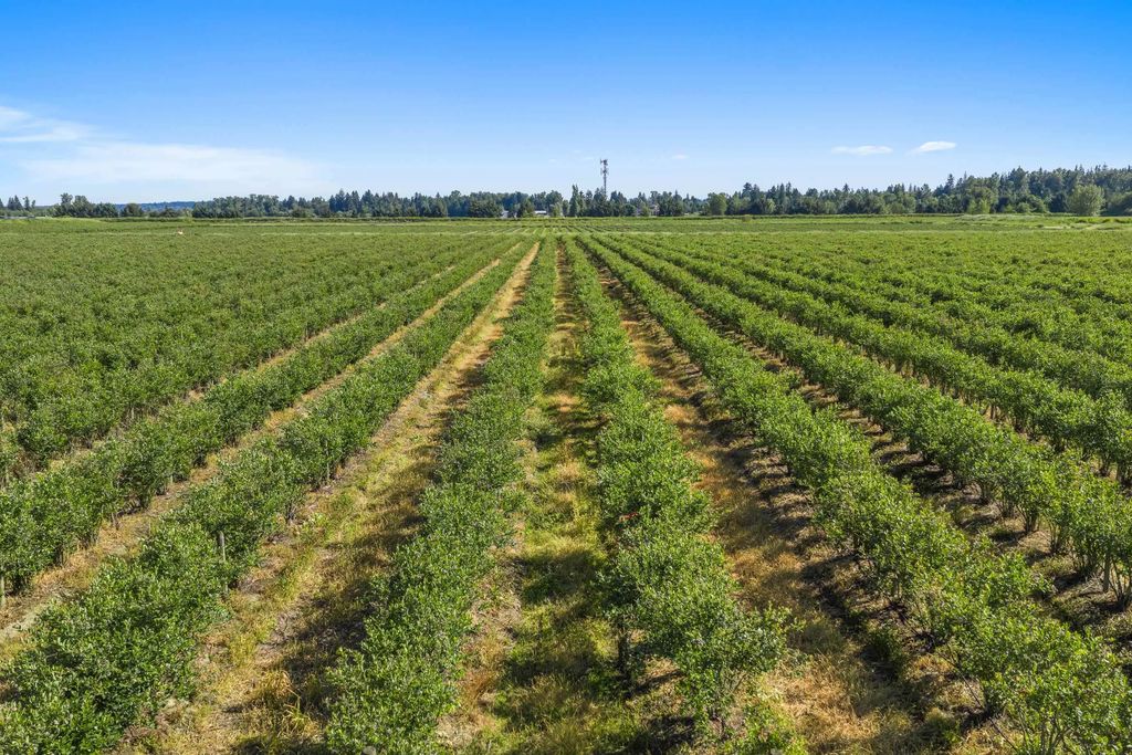 15683 64 Avenue, Surrey