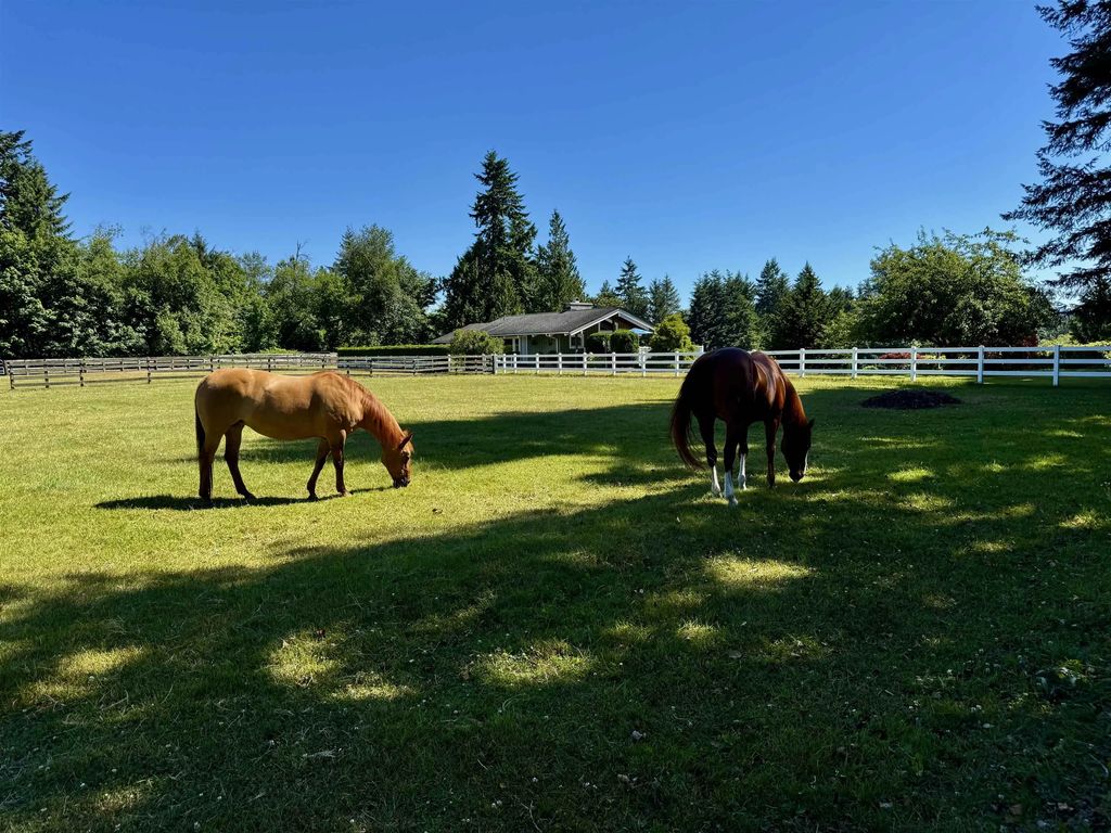 25177 64 Avenue, Langley