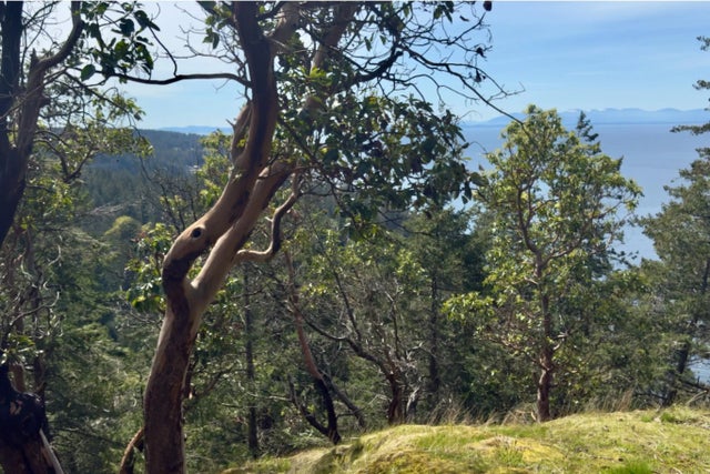 Lot8 Arbutus Ridge Ph3, Bowen Island