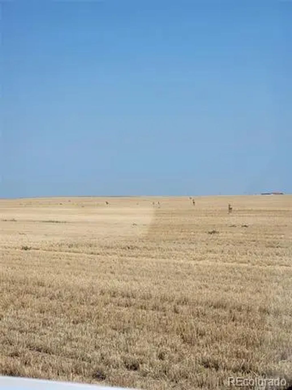 County Road 81, Roggen