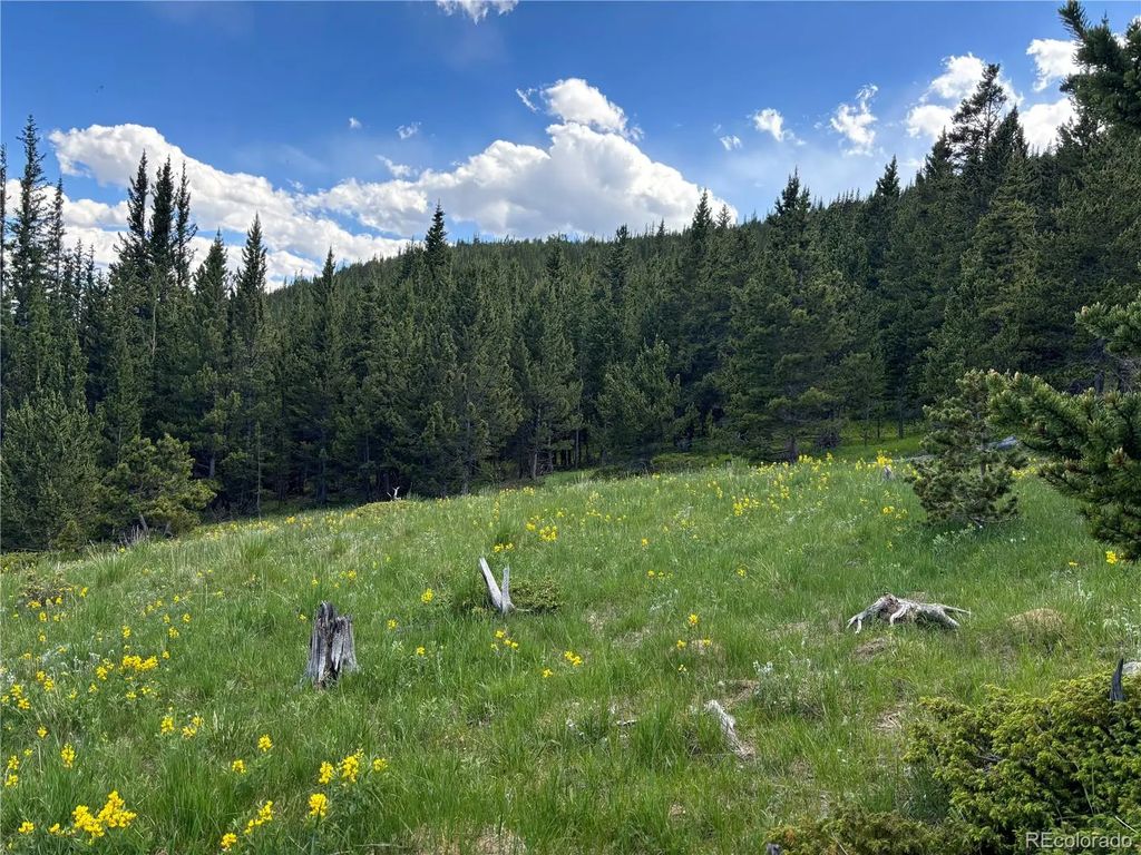 Hilltop Road, Idaho Springs