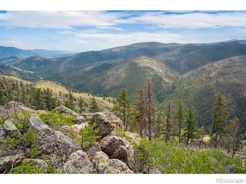 Spencer Mountain Road, Bellvue
