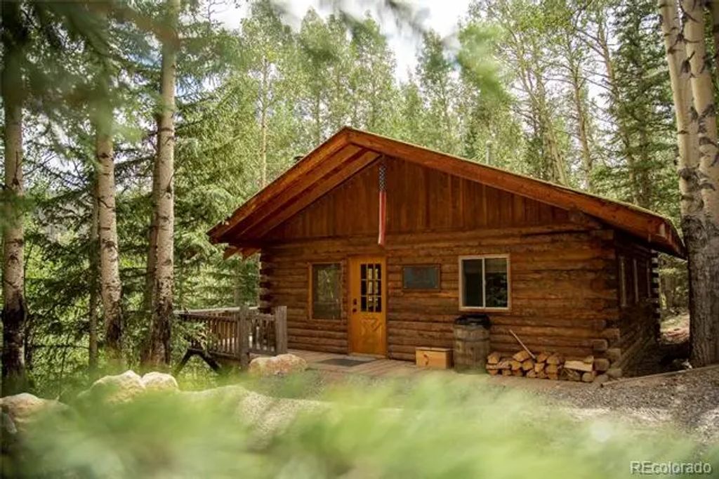 1001 Cr 17 Aspen Cabin, Lake City