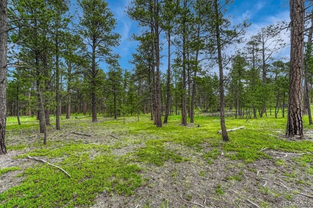 Wyandott Drive, Colorado Springs