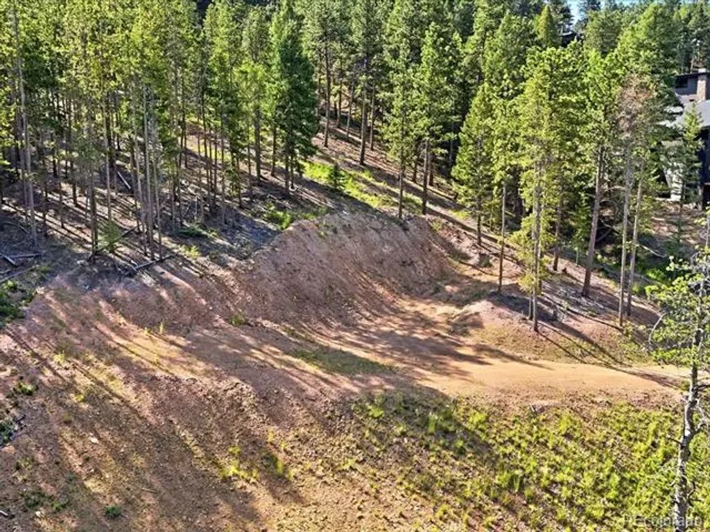 6824 Lynx Lair Road, Evergreen