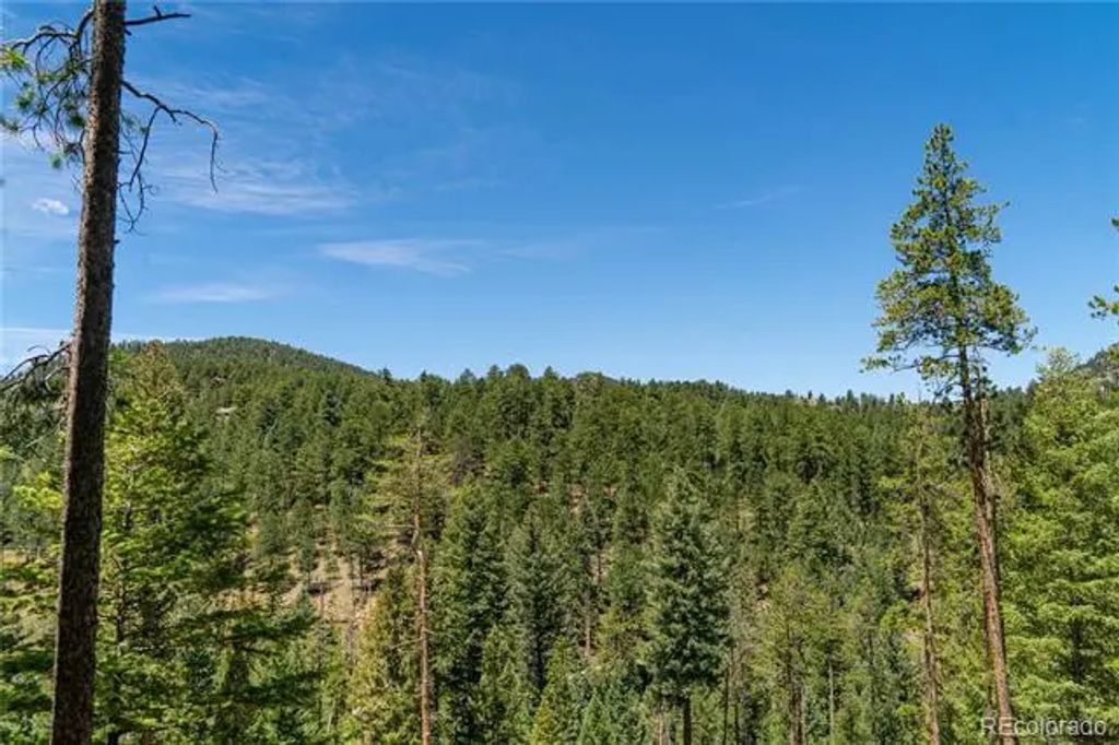6814 Lynx Lair Road, Evergreen