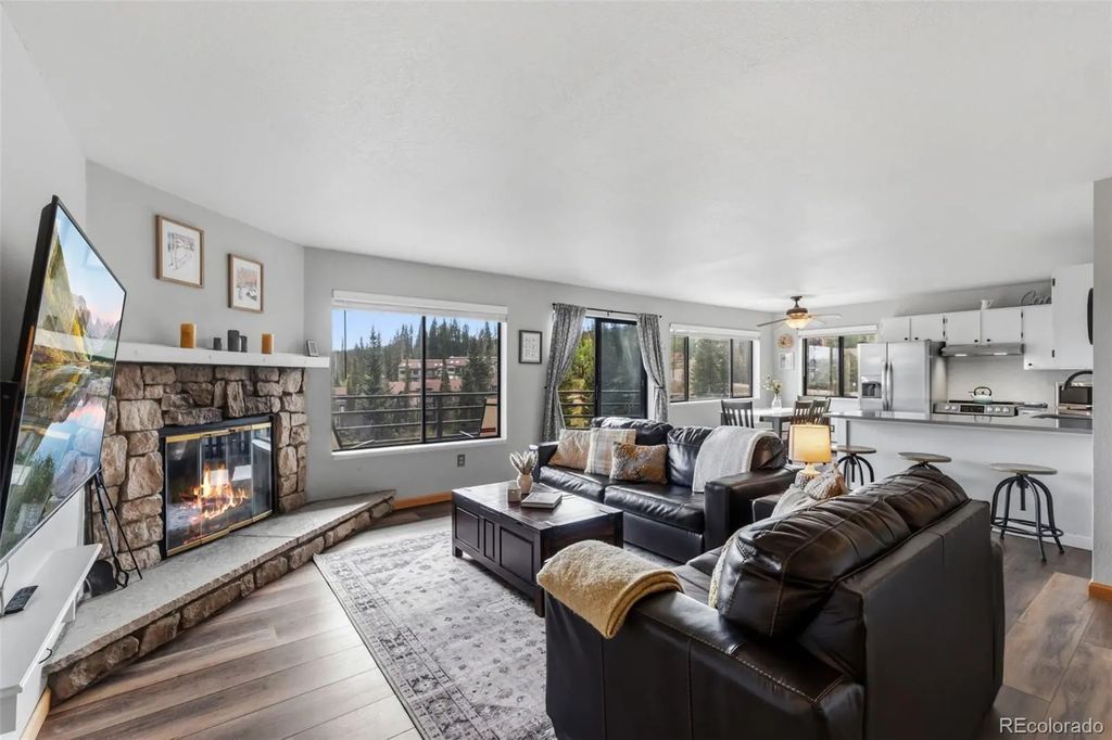 9849 Ryan Gulch Road 201, Silverthorne