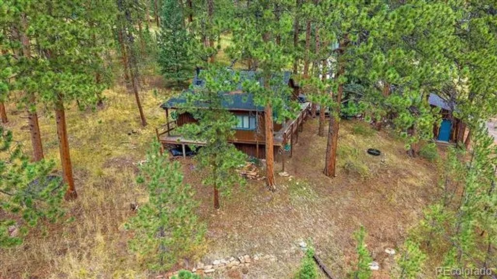 28321 Shadow Mountain Drive, Conifer