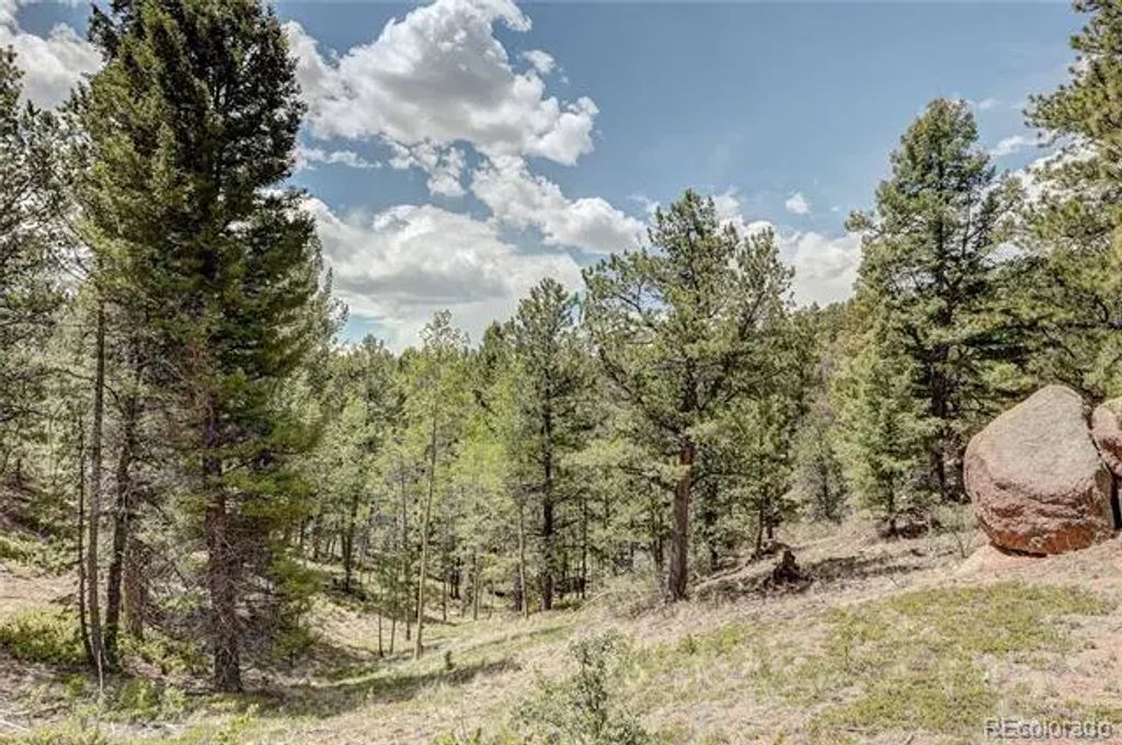 59 Robin Point, Divide